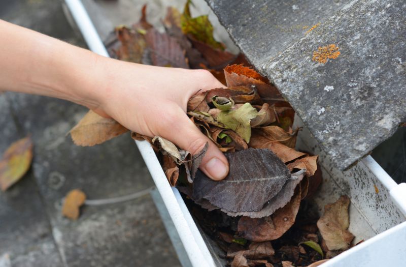 Clean Gutter System